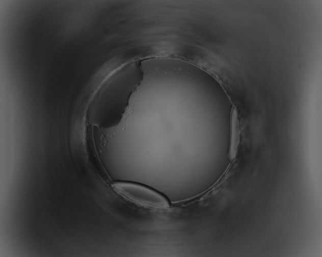 X0000095670242200801081214