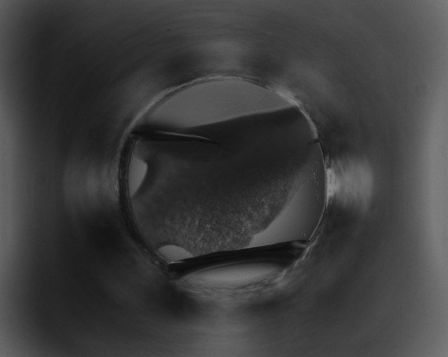 X0000095670243200801081214