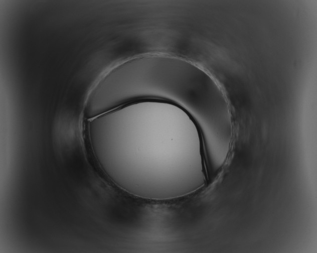 X0000095670244200801081214