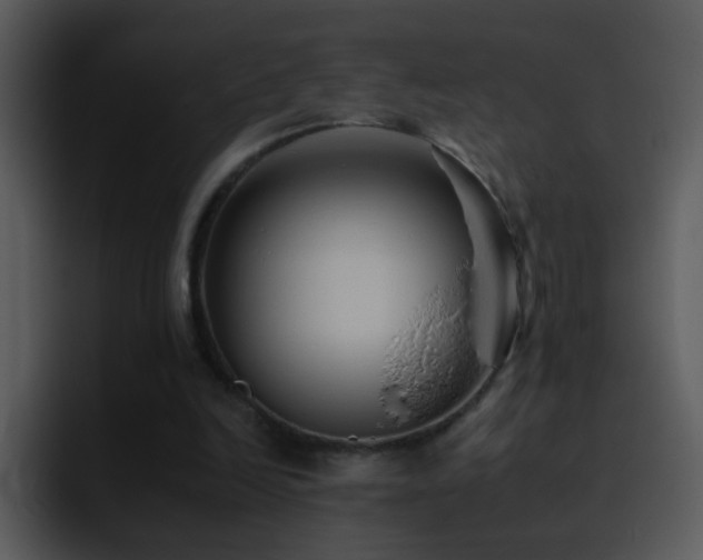 X0000095670246200801081214