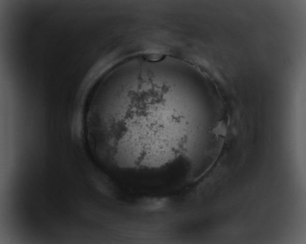 X0000095670247200801081214