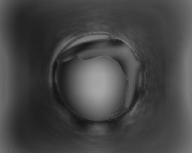 X0000095670248200801081214