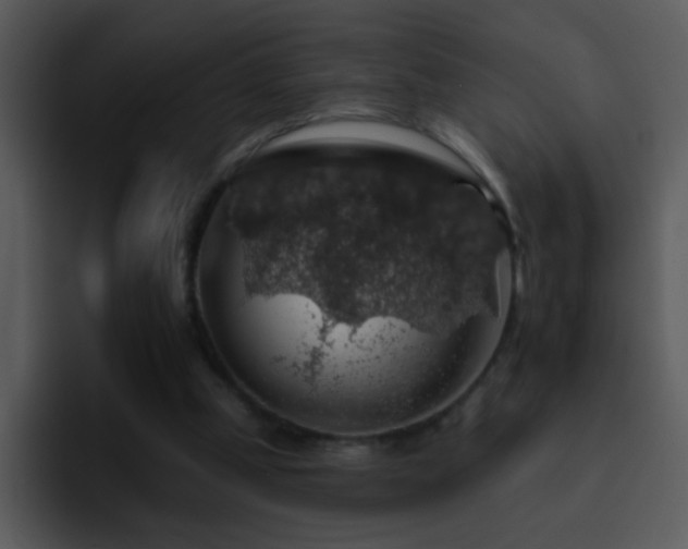 X0000095670249200801081214