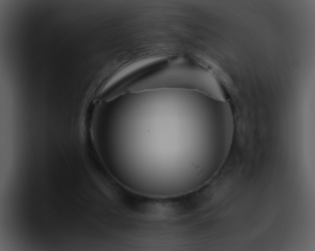 X0000095670250200801081214