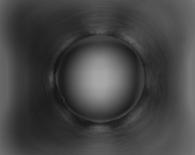 X0000095670251200801081214