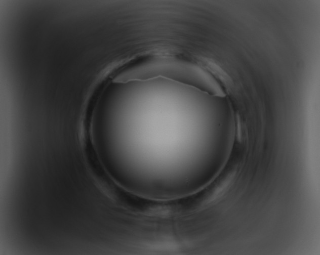 X0000095670252200801081214
