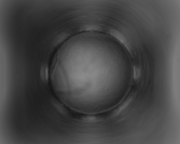 X0000095670253200801081214