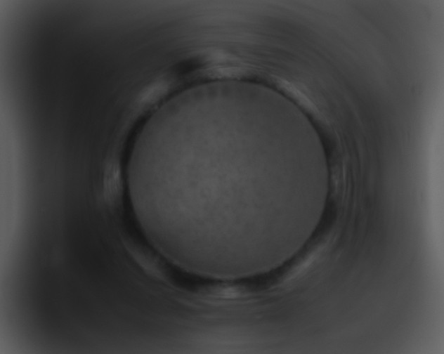 X0000095670254200801081214