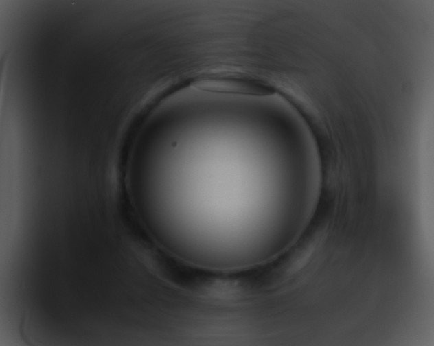 X0000095670256200801081214