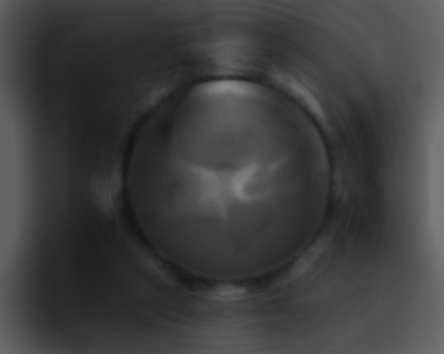 X0000095670257200801081214