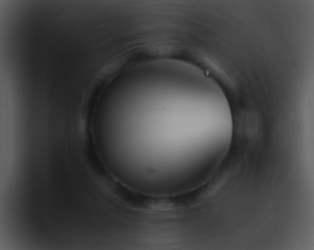 X0000095670258200801081214
