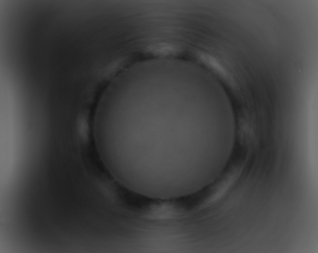 X0000095670259200801081214