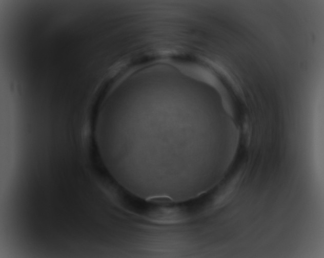 X0000095670260200801081214