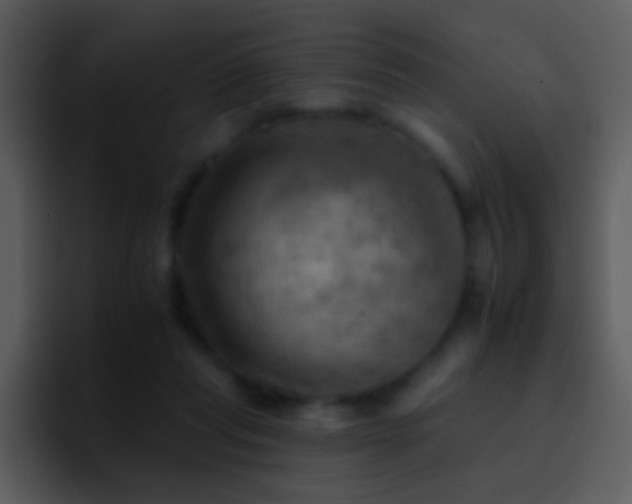 X0000095670261200801081214