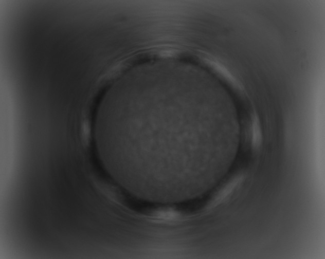 X0000095670262200801081214