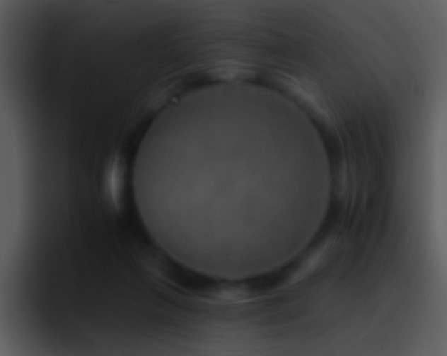X0000095670263200801081214