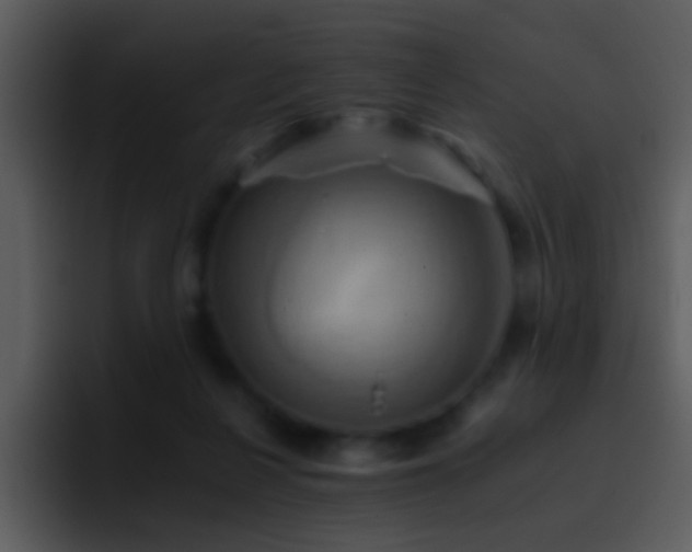 X0000095670264200801081214