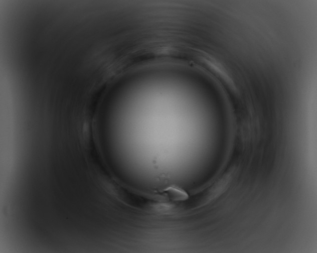 X0000095670265200801081214