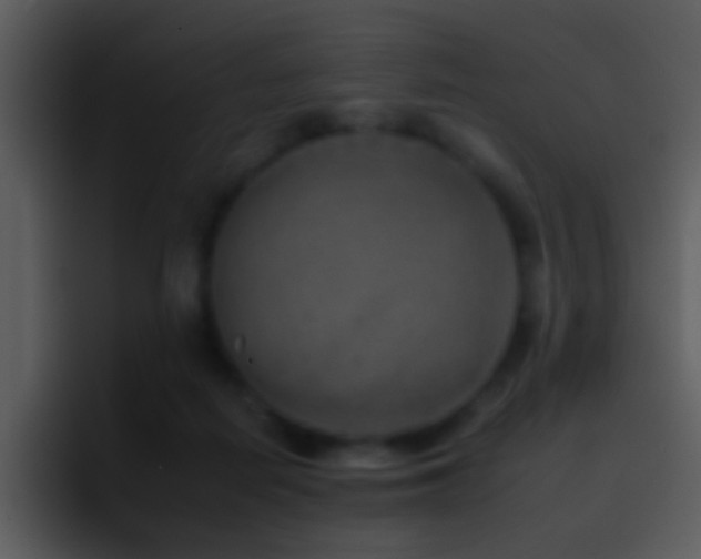 X0000095670266200801081214