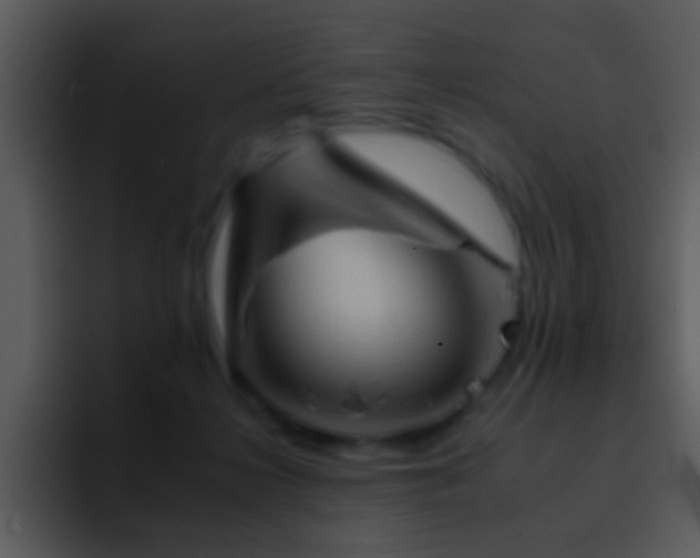 X0000095670268200801081214