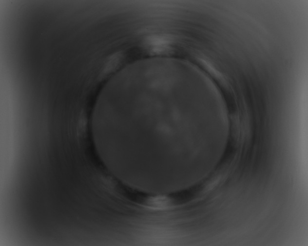 X0000095670269200801081214