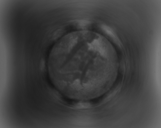 X0000095670270200801081214