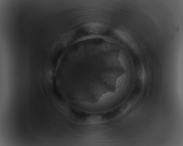 X0000095670271200801081214