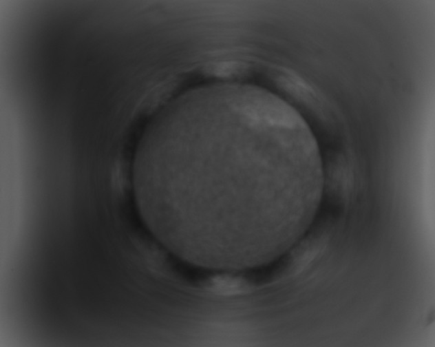 X0000095670272200801081214