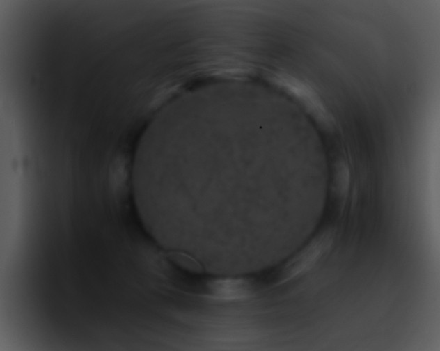 X0000095670273200801081214