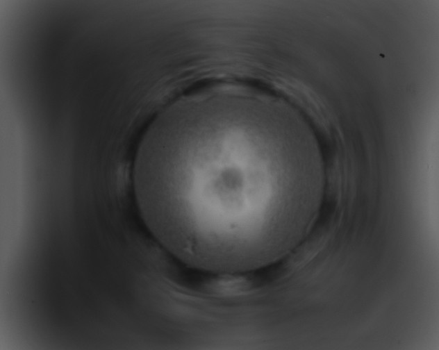 X0000095670278200801081214