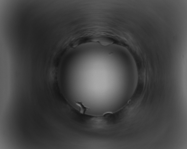 X0000095670280200801081214