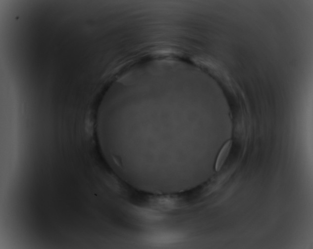 X0000095670282200801081214
