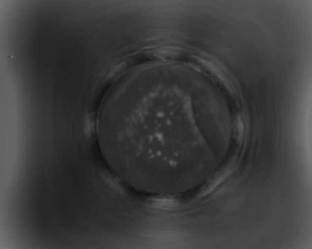X0000095670284200801081214
