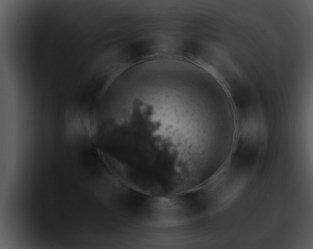 X0000095670285200801081215