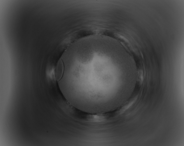 X0000095670286200801081215