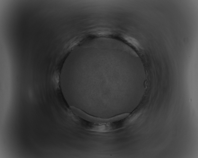 X0000095670288200801081215