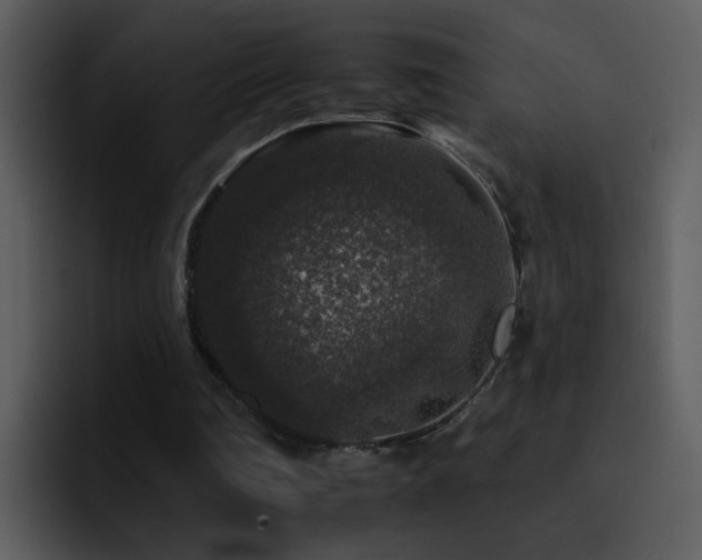 X0000095670290200801081214