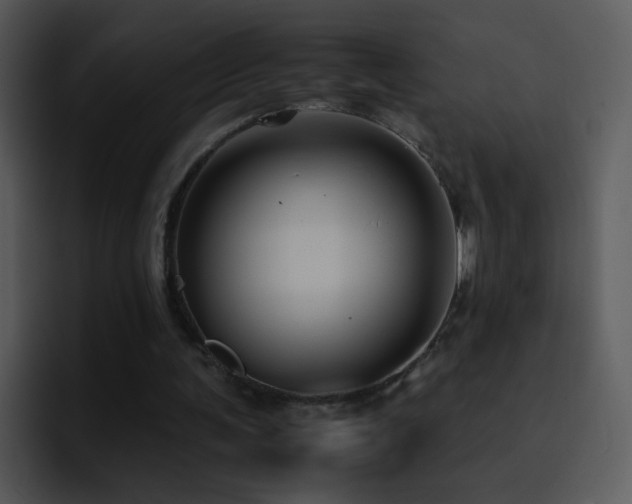 X0000095670291200801081214