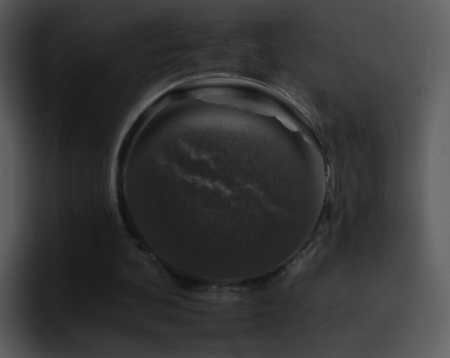 X0000095670292200801081214