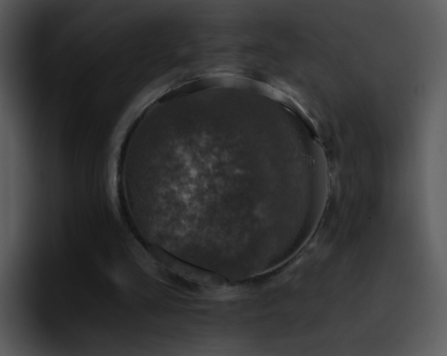 X0000095670293200801081214
