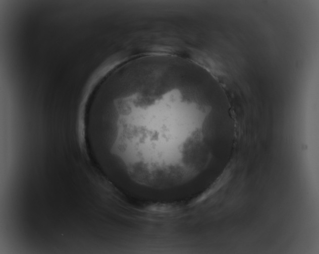 X0000095670294200801081214