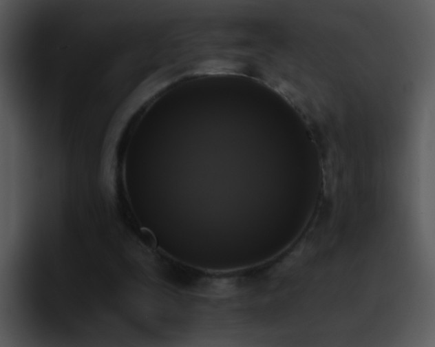 X0000095670295200801081214