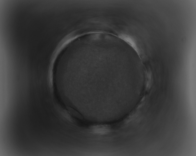 X0000095670296200801081214