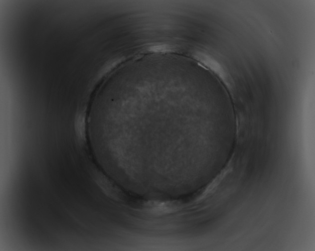 X0000095670297200801081214
