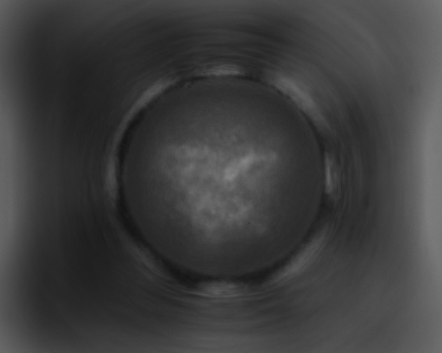 X0000095670300200801081214
