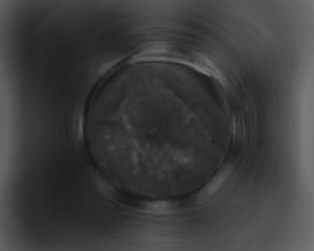 X0000095670301200801081214