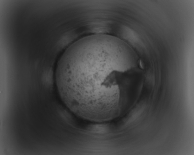 X0000095670303200801081214