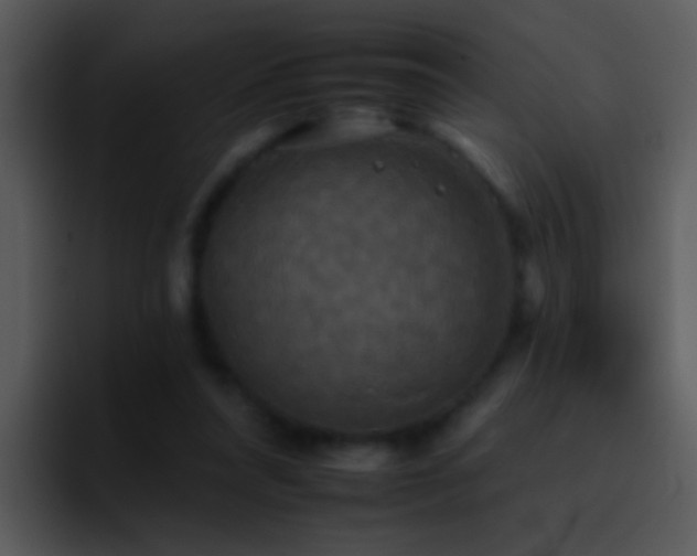 X0000095670304200801081214