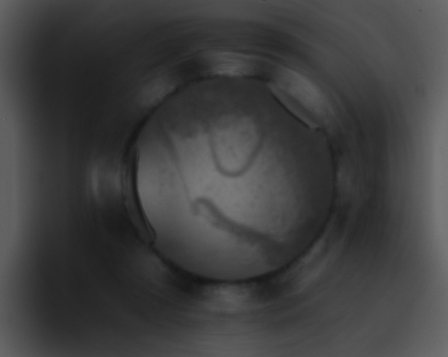 X0000095670305200801081214