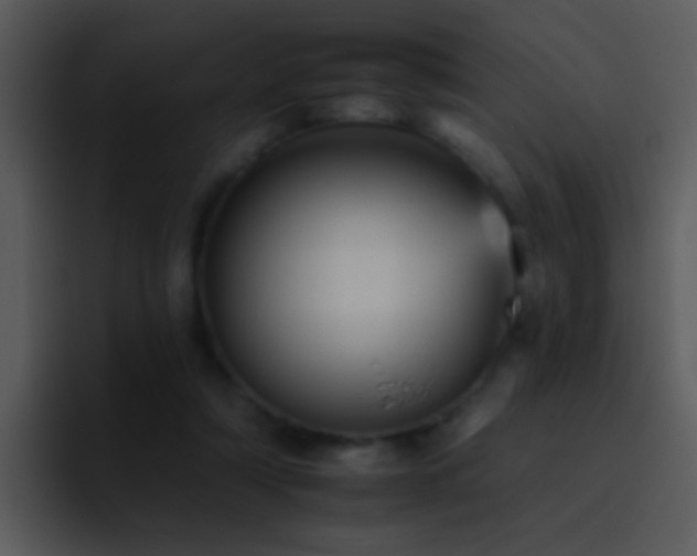 X0000095670306200801081214